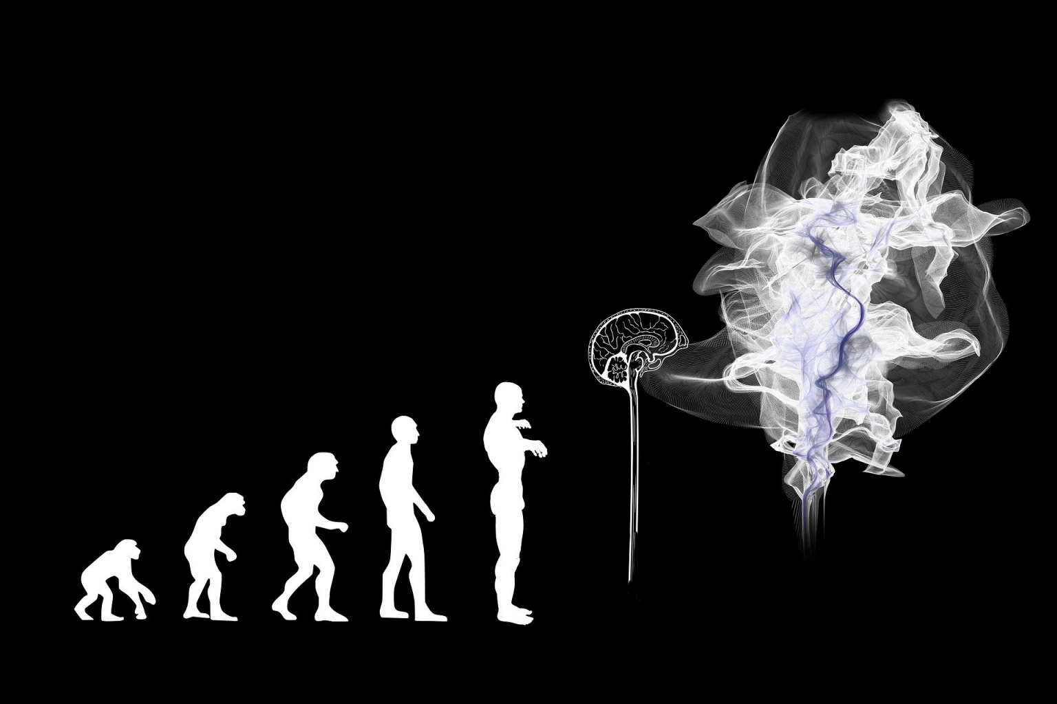 I bias cognitivi: conoscerli per riconoscerli